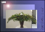 www.floristic.ru - .  