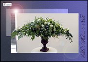 www.floristic.ru - .  