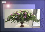 www.floristic.ru - .  