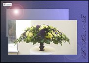 www.floristic.ru - .  