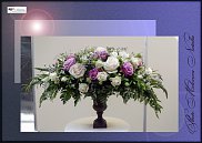 www.floristic.ru - .  