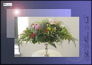 www.floristic.ru - .  