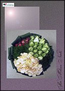 www.floristic.ru - .  