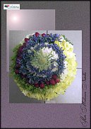 www.floristic.ru - .  