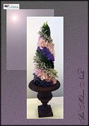 www.floristic.ru - .  