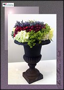 www.floristic.ru - .  