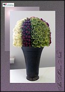 www.floristic.ru - .  