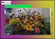 www.floristic.ru - .  