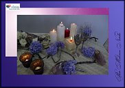 www.floristic.ru - .  