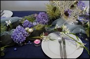 www.floristic.ru - .  