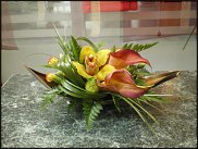 www.floristic.ru - .  