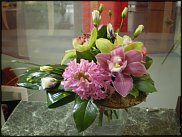 www.floristic.ru - .   