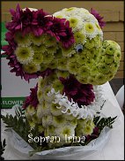 www.floristic.ru - .   ....