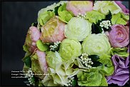 www.floristic.ru - .  - "    -2013"