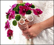 www.floristic.ru - .    