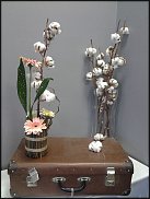 www.floristic.ru - .      