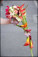 www.floristic.ru - . 