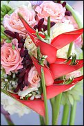 www.floristic.ru - . 