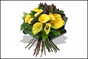 www.floristic.ru - .   1 