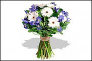 www.floristic.ru - .   1 