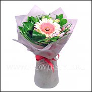 www.floristic.ru - .   1 