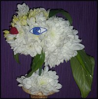 www.floristic.ru - .   ....