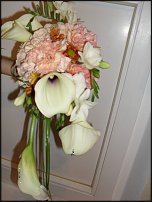 www.floristic.ru - .  