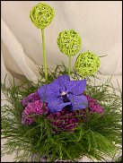 www.floristic.ru - .   1 