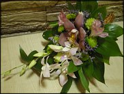 www.floristic.ru - . ,  .