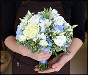 www.floristic.ru - .  .