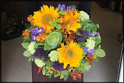 www.floristic.ru - .       ...