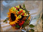 www.floristic.ru - .   1 