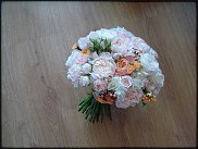 www.floristic.ru - . !!!!!