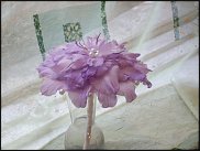 www.floristic.ru - . 