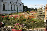 www.floristic.ru - .    