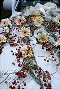 www.floristic.ru - .  .