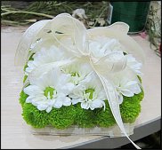 www.floristic.ru - .  .