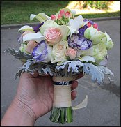 www.floristic.ru - .  .