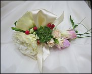 www.floristic.ru - .  .