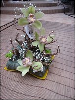 www.floristic.ru - .  