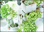 www.floristic.ru - .  .