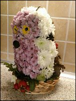 www.floristic.ru - .   ....