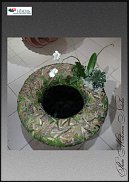 www.floristic.ru - .  
