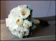 www.floristic.ru - .  .