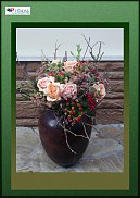 www.floristic.ru - .  