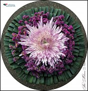 www.floristic.ru - .  