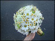 www.floristic.ru - .  .