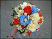 www.floristic.ru - .  .