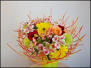 www.floristic.ru - .  " " 9-13  