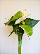 www.floristic.ru - .  " " 9-13  